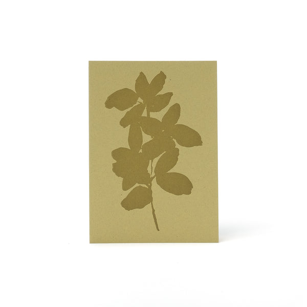 Leaves Letterpress Card <br>Olive - Esme Winter