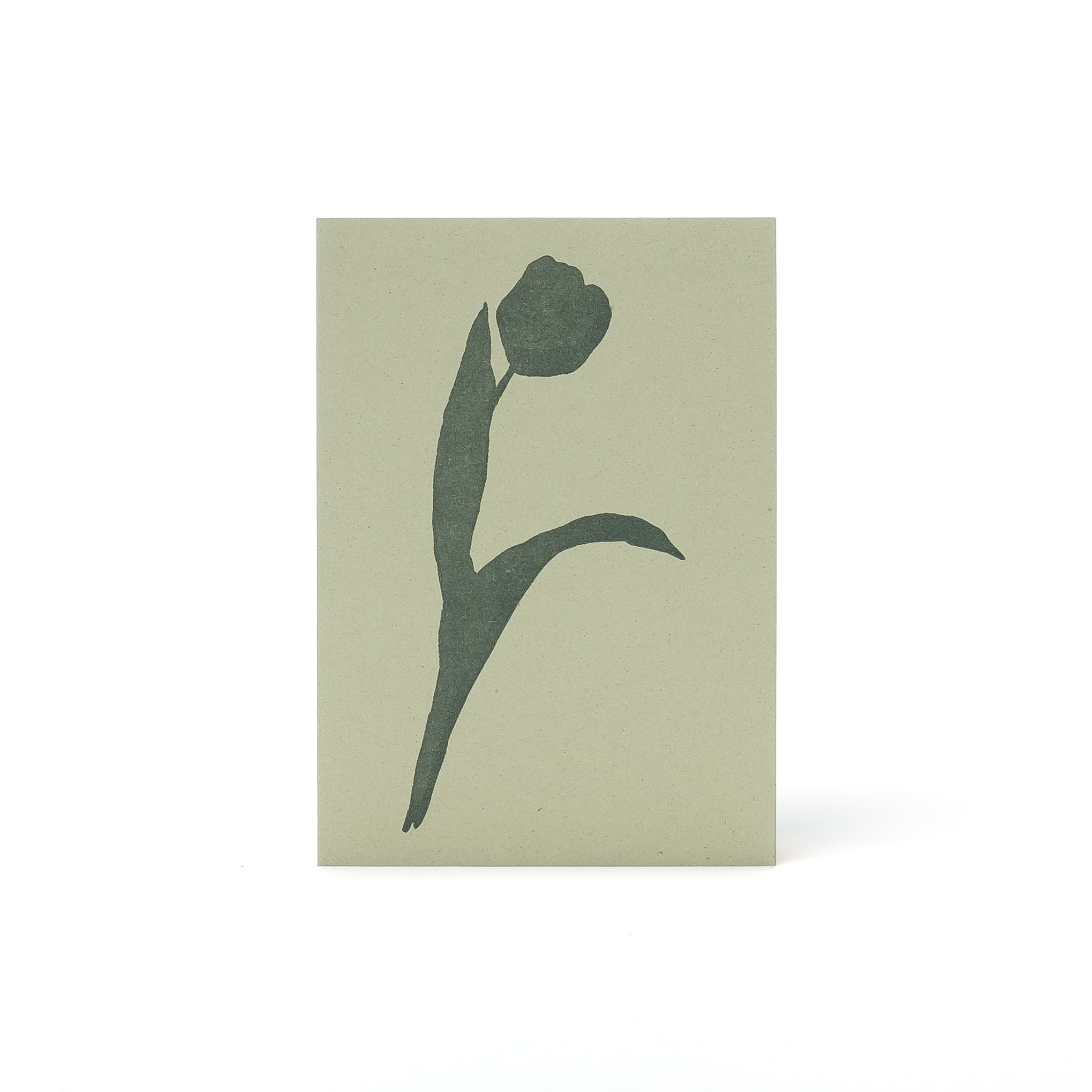Tulip Letterpress Card <br>Kiwi - Esme Winter